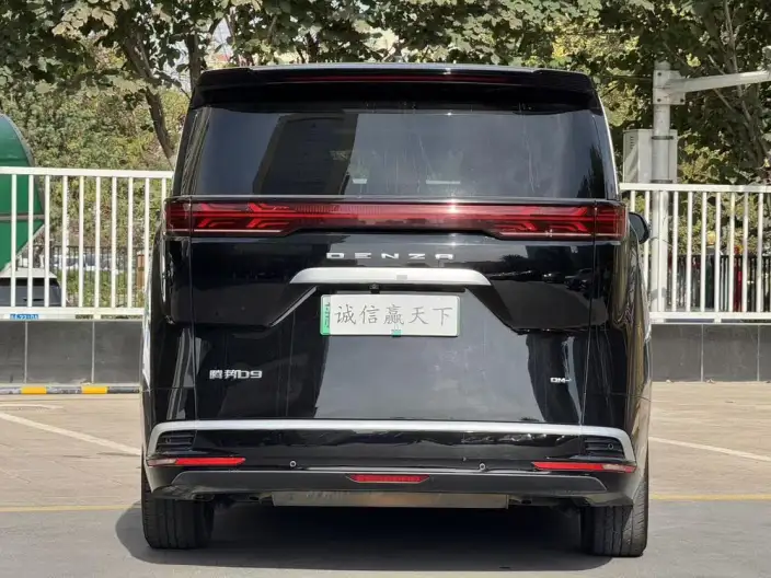 DENZA D9 DM 2024 Model 970 Luxury Model – фото 5