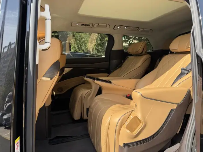 DENZA D9 DM 2024 Model 970 Luxury Model – фото 9
