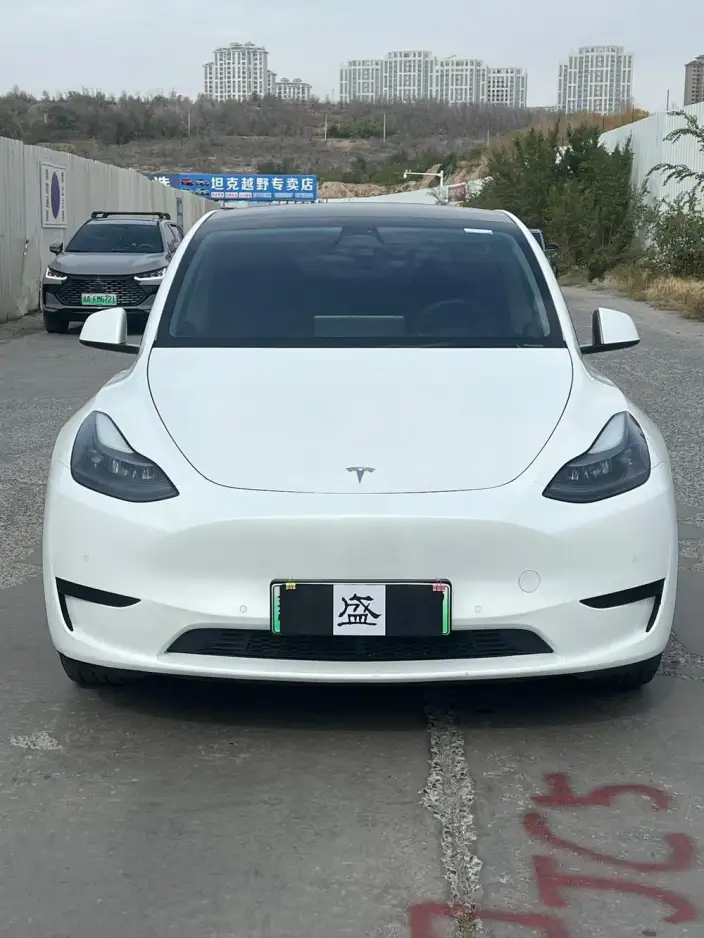 Model Y 2022 Model Facelift Rear-wheel drive version – фото 2