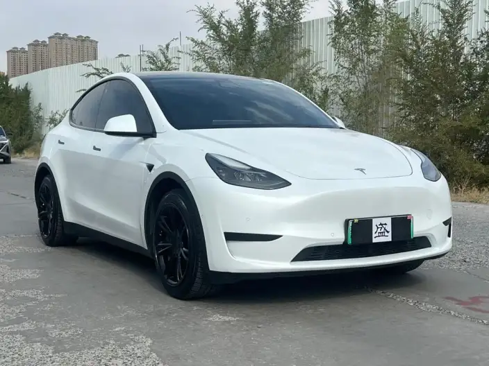 Model Y 2022 Model Facelift Rear-wheel drive version – фото 3
