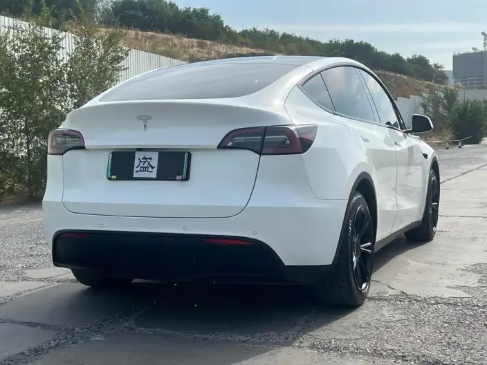 Model Y 2022 Model Facelift Rear-wheel drive version – фото 6