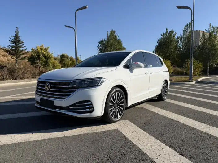 Viloran 2023 Model 380TSI Premium Edition – фото 1