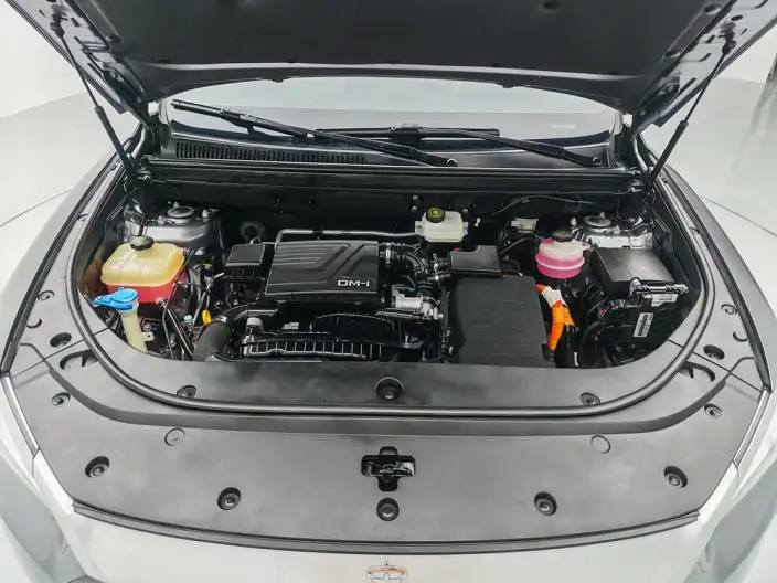 BYD Song Pro DM 2022 Model DM-i 110km Flagship Model Pro – фото 10