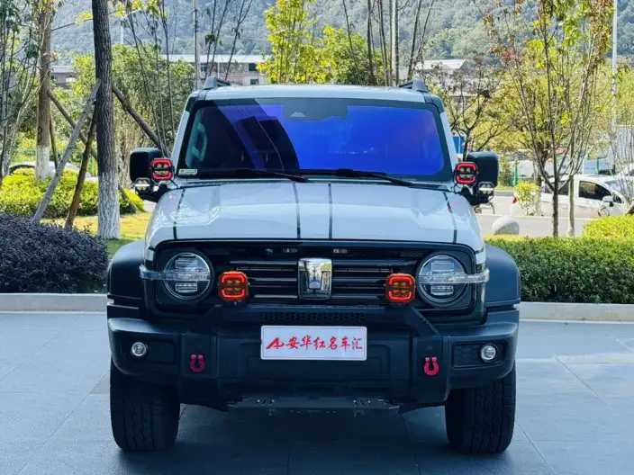 Tank 300 2025 Model 2.4T Diesel Edition