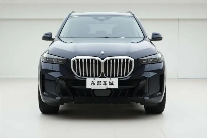 BMW X5 2023 Model xDrive30Li Exclusive Model M Sports Night Set – фото 2