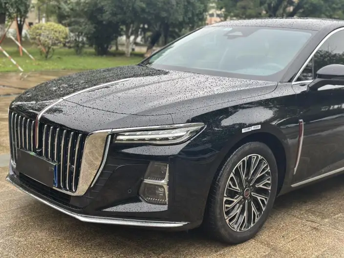 Hongqi H5 2025 Model 2.0T Automatic Flag Enjoy Edition – фото 8