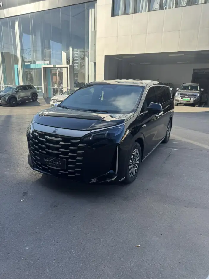 Xia 2025 Model DM-i 180KM Excellence Model – фото 1