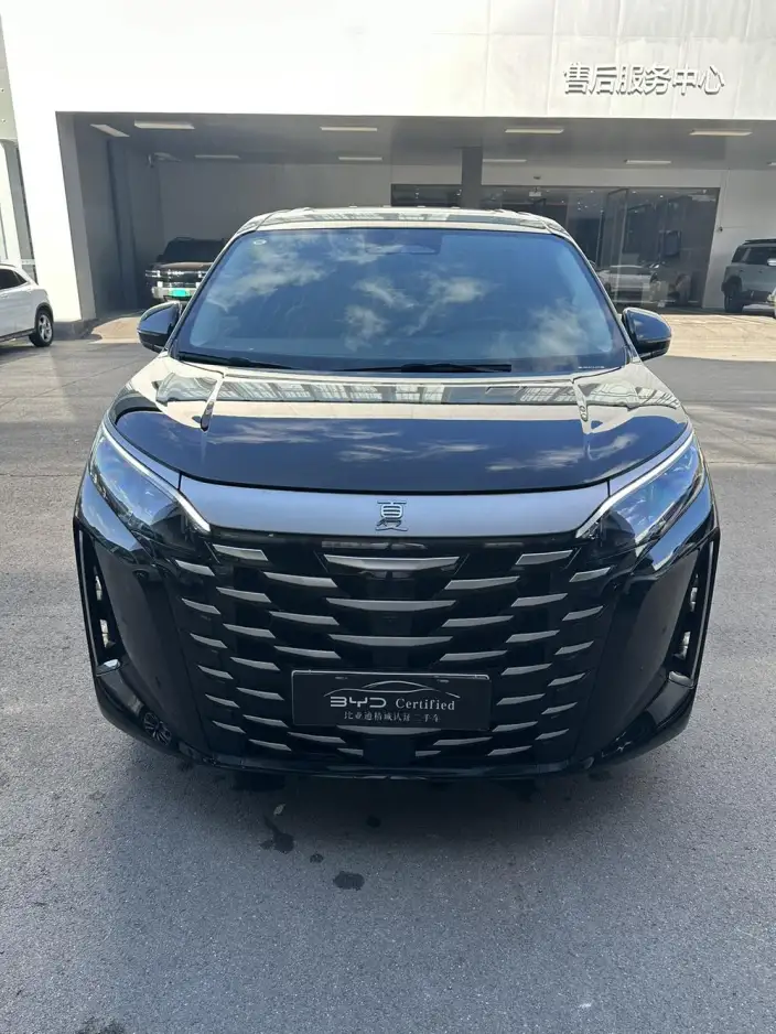 Xia 2025 Model DM-i 180KM Excellence Model – фото 2