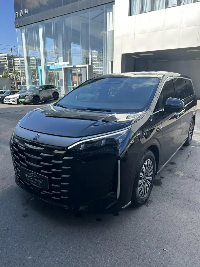 Xia 2025 Model DM-i 180KM Excellence Model – фото 6