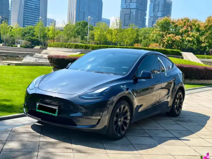 Model Y 2024 Model Long Battery Life Pro All-wheel drive version – фото 1