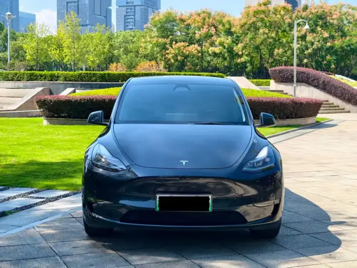 Model Y 2024 Model Long Battery Life Pro All-wheel drive version – фото 2