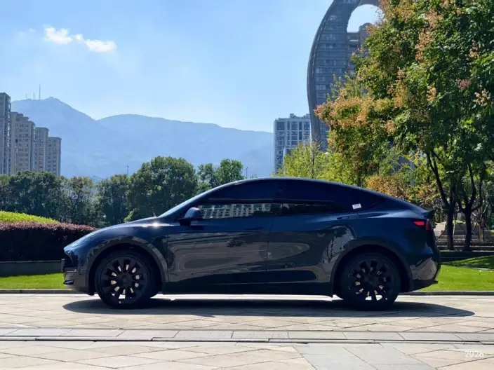 Model Y 2024 Model Long Battery Life Pro All-wheel drive version – фото 3