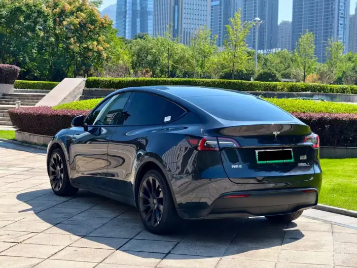 Model Y 2024 Model Long Battery Life Pro All-wheel drive version – фото 4