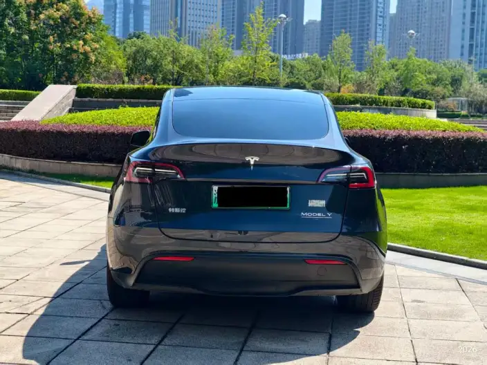 Model Y 2024 Model Long Battery Life Pro All-wheel drive version – фото 5