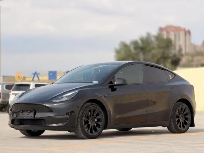 Model Y 2022 Model Facelift Long Battery Life Pro All-wheel drive version – фото 1