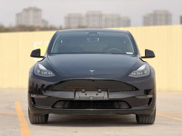 Model Y 2022 Model Facelift Long Battery Life Pro All-wheel drive version – фото 2