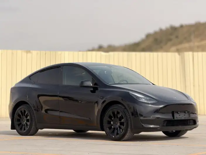 Model Y 2022 Model Facelift Long Battery Life Pro All-wheel drive version – фото 3