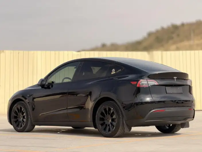 Model Y 2022 Model Facelift Long Battery Life Pro All-wheel drive version – фото 4