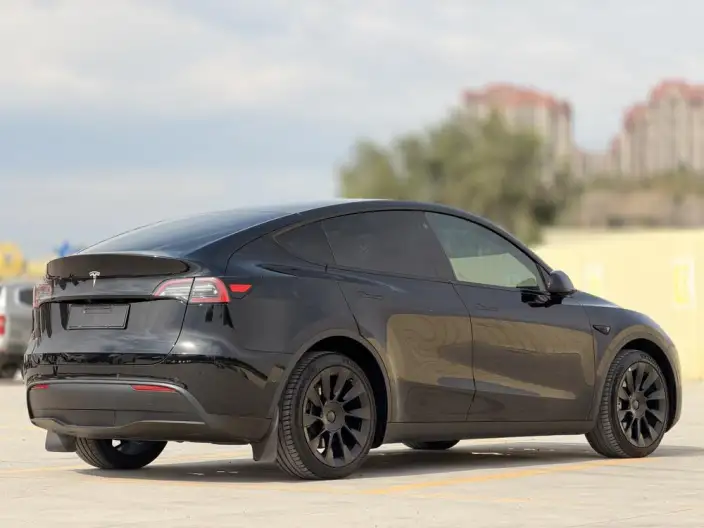 Model Y 2022 Model Facelift Long Battery Life Pro All-wheel drive version – фото 6