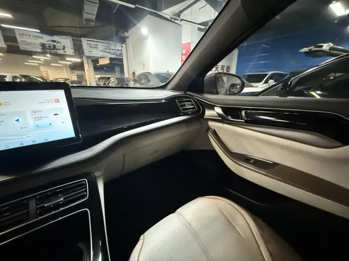 Qin Plus EV 2024 Model Honor Edition 420KM Leading Model – фото 7