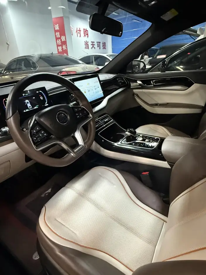 Qin Plus EV 2024 Model Honor Edition 420KM Leading Model – фото 8