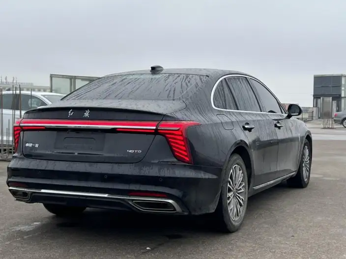 Hongqi H5 2023 Model 2.0T Automatic Flag Enjoy Edition – фото 6