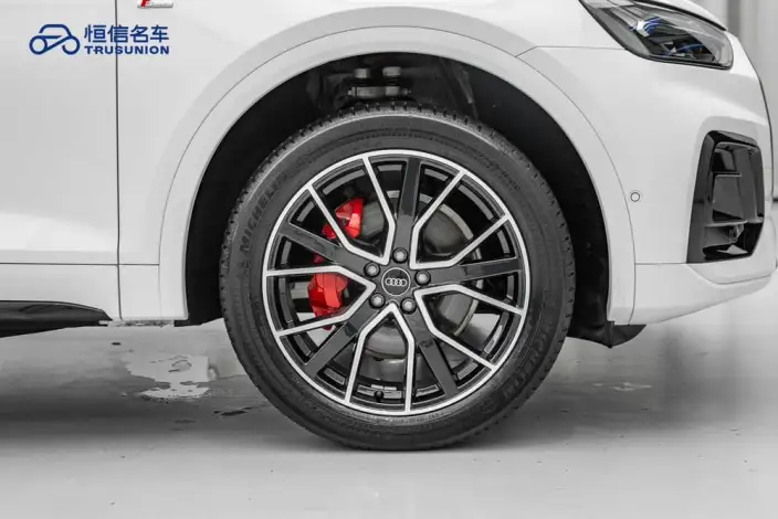 Audi Q5L 2025 Model 45TFSI Luxury Dynamic Model – фото 10