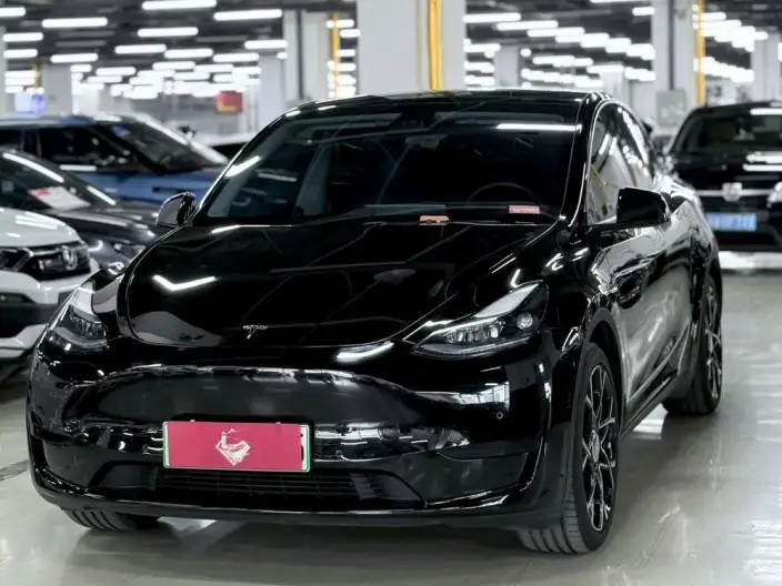 Model Y 2022 Model Facelift Rear-wheel drive version – фото 1