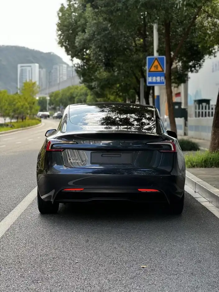 Model 3 2023 Model Rear-wheel drive version – фото 3
