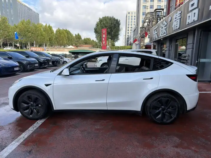 Model Y 2024 Model Rear-wheel drive version – фото 3