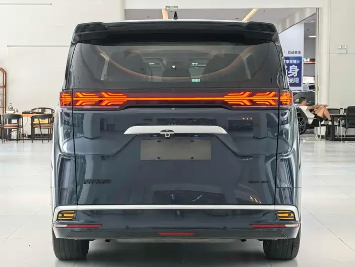 DENZA D9 DM 2022 Model 970 4WD Flagship Model – фото 5