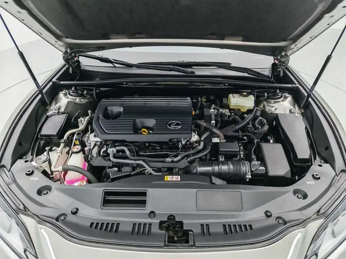 Lexus ES 2022 Model 300h Superior Edition – фото 10