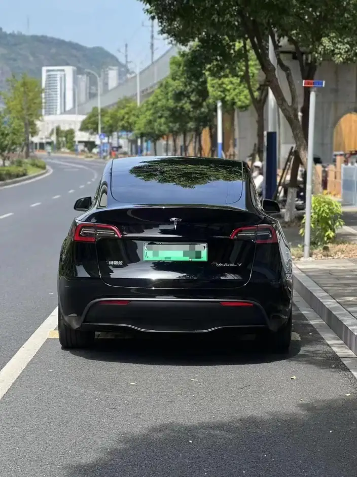 Model Y 2024 Model Rear-wheel drive version – фото 3