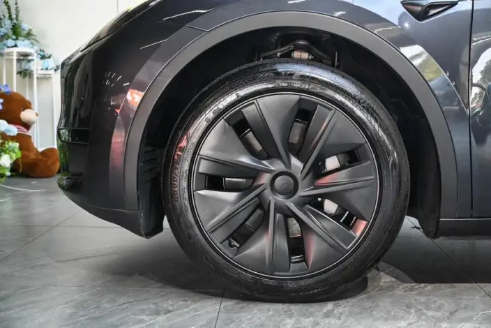 Model Y 2024 Model Rear-wheel drive version – фото 7