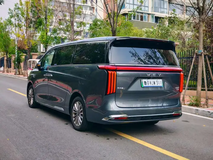 Wey Gaoshan P HEV 2023 Model 4WD Executive Extended Edition