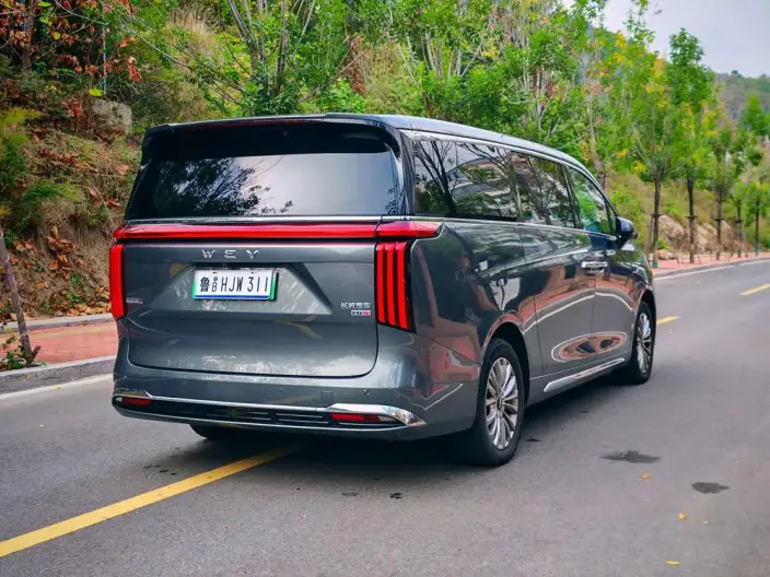 Wey Gaoshan P HEV 2023 Model 4WD Executive Extended Edition