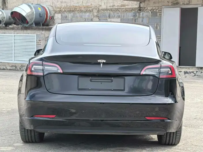 Model 3 2022 Model Rear-wheel drive version – фото 5