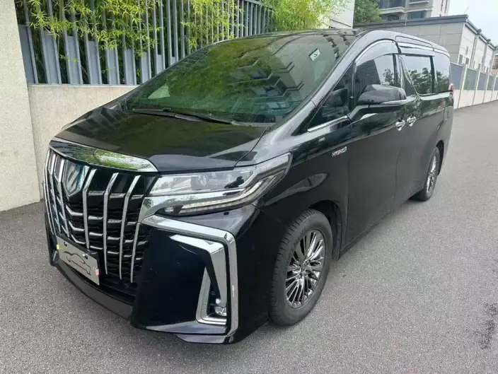 Elfa 2021 Model Hybrid 2.5L Premium Edition – фото 1