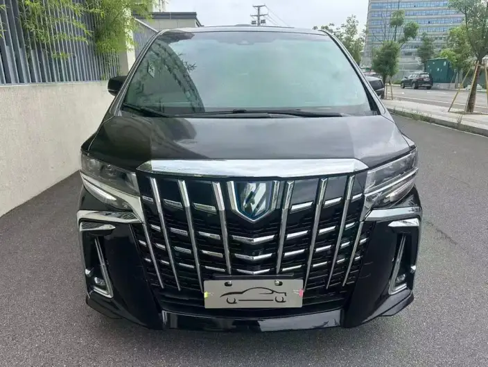 Elfa 2021 Model Hybrid 2.5L Premium Edition – фото 2