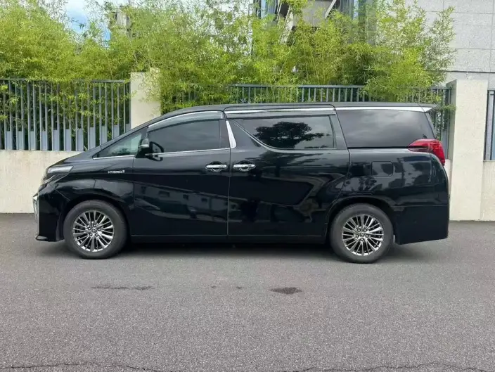 Elfa 2021 Model Hybrid 2.5L Premium Edition – фото 3