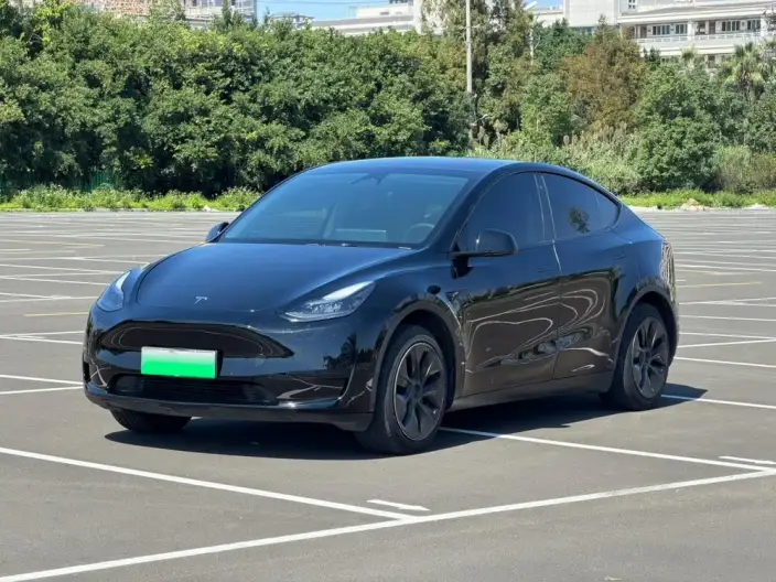 Model Y 2023 Model Rear-wheel drive version – фото 1