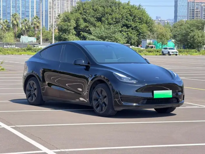 Model Y 2023 Model Rear-wheel drive version – фото 3
