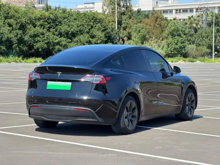 Model Y 2023 Model Rear-wheel drive version – фото 6