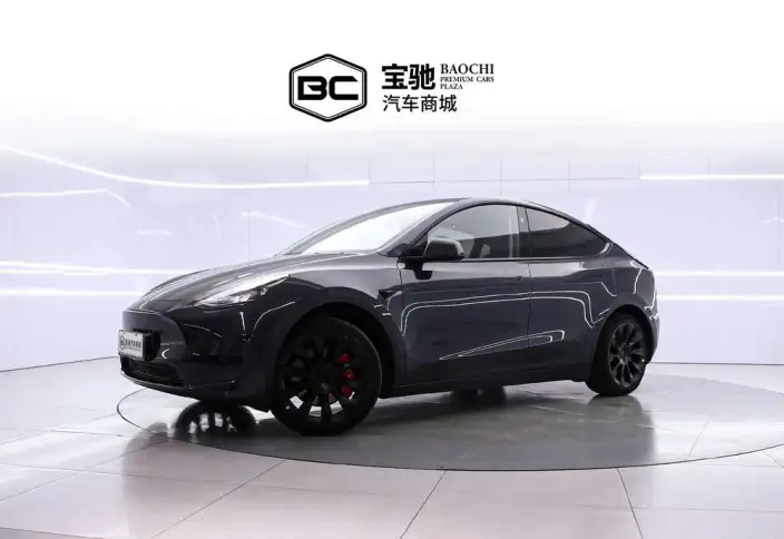 Model Y 2024 Model Rear-wheel drive version – фото 1