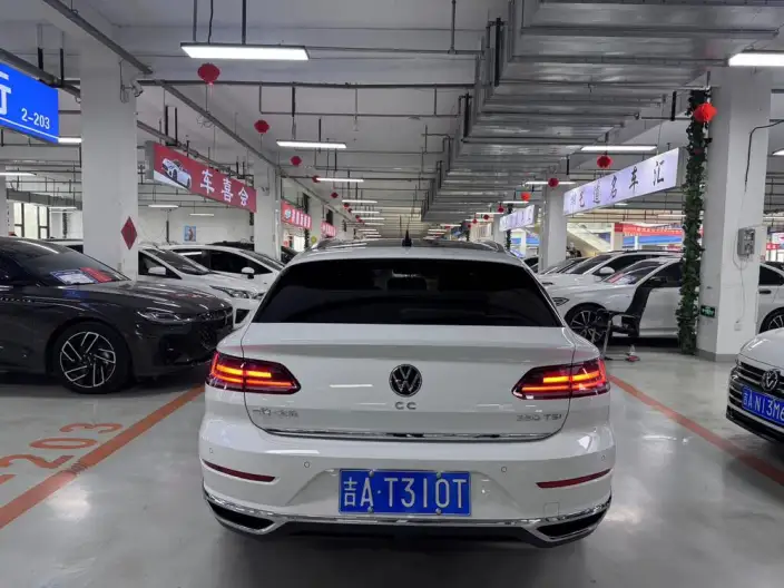 Volkswagen CC 2021 Model Hunting vehicle 380TSI Hunting Heart Edition – фото 5