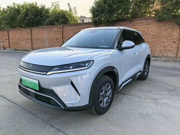 Yuan UP 2025 Model 301KM Pilot Model – фото 1