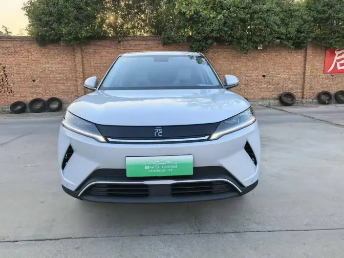 Yuan UP 2025 Model 301KM Pilot Model – фото 2
