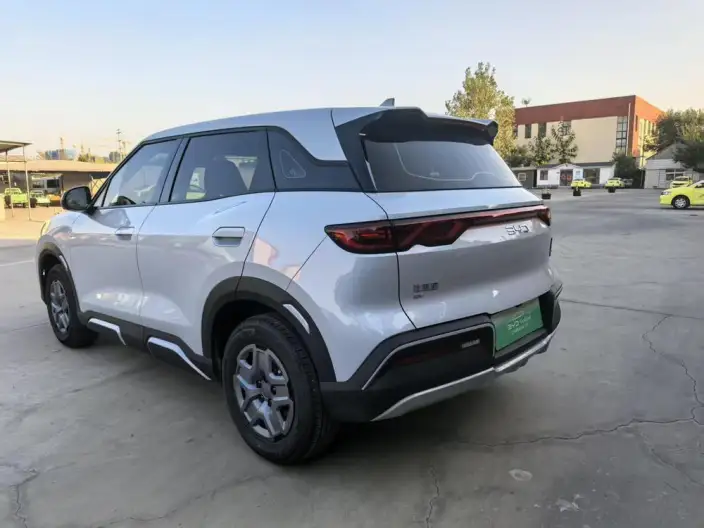Yuan UP 2025 Model 301KM Pilot Model – фото 4