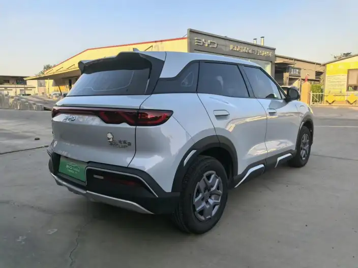 Yuan UP 2025 Model 301KM Pilot Model – фото 6