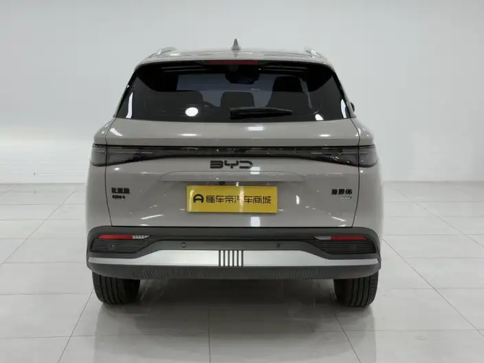Haise 05DM 2025 Model Smart Driving Edition DM-i 75KM Luxury Model – фото 6